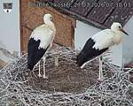 Capi_Dubne_20260727_073003.jpg