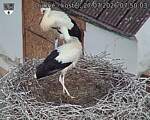 Capi_Dubne_20260727_075003.jpg