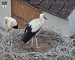 Capi_Dubne_20260727_080003.jpg