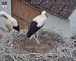 Capi_Dubne_20260727_080502.jpg