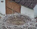 Capi_Dubne_20260727_082503.jpg