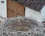 Capi_Dubne_20260727_083503.jpg
