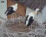 Capi_Dubne_20260727_100002.jpg