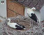 Capi_Dubne_20260727_113002.jpg