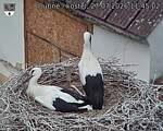 Capi_Dubne_20260727_114502.jpg