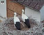 Capi_Dubne_20260727_120502.jpg