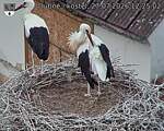 Capi_Dubne_20260727_122502.jpg
