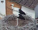 Capi_Dubne_20260727_125002.jpg
