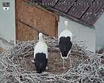 Capi_Dubne_20260727_131002.jpg