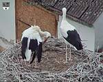 Capi_Dubne_20260727_132003.jpg