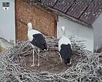 Capi_Dubne_20260727_133003.jpg