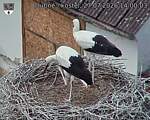Capi_Dubne_20260727_140003.jpg