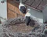 Capi_Dubne_20260727_140502.jpg