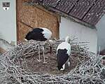 Capi_Dubne_20260727_142503.jpg