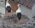 Capi_Dubne_20260727_152002.jpg