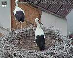 Capi_Dubne_20260727_152502.jpg