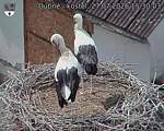Capi_Dubne_20260727_153003.jpg