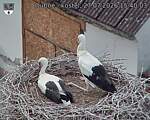 Capi_Dubne_20260727_154003.jpg