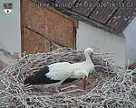Capi_Dubne_20260727_163502.jpg