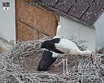 Capi_Dubne_20260727_170503.jpg