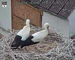 Capi_Dubne_20260727_175002.jpg