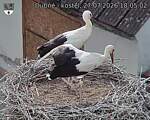 Capi_Dubne_20260727_180502.jpg