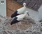 Capi_Dubne_20260727_182003.jpg