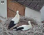 Capi_Dubne_20260727_184003.jpg