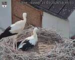 Capi_Dubne_20260727_184503.jpg