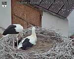Capi_Dubne_20260727_185502.jpg