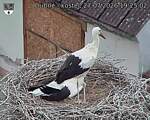 Capi_Dubne_20260727_192502.jpg