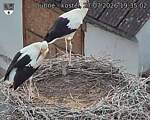 Capi_Dubne_20260727_193503.jpg