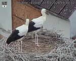 Capi_Dubne_20260727_194002.jpg