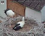 Capi_Dubne_20260727_194503.jpg