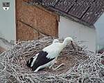 Capi_Dubne_20260727_195003.jpg