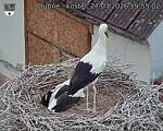 Capi_Dubne_20260727_195502.jpg