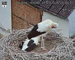 Capi_Dubne_20260727_200003.jpg