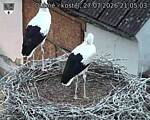 Capi_Dubne_20260727_210503.jpg