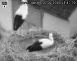 Capi_Dubne_20260727_211002.jpg