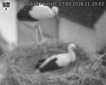 Capi_Dubne_20260727_212002.jpg