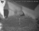 Capi_Dubne_20260727_214502.jpg