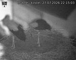 Capi_Dubne_20260727_221503.jpg