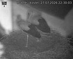 Capi_Dubne_20260727_223003.jpg