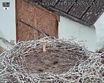Capi_Dubne_20260728_052503.jpg