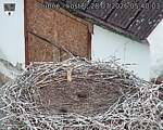 Capi_Dubne_20260728_054003.jpg