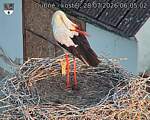 Capi_Dubne_20260728_060502.jpg