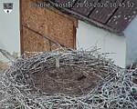 Capi_Dubne_20260728_104502.jpg