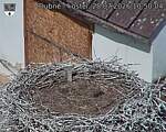 Capi_Dubne_20260728_105004.jpg