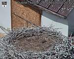Capi_Dubne_20260728_122002.jpg
