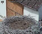 Capi_Dubne_20260728_123502.jpg
